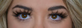 Last Night’s Lashes